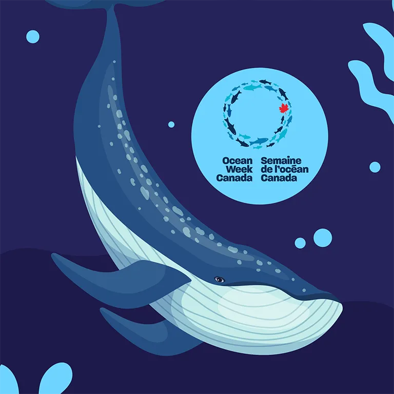 A projected whale swimming through luminous particle visuals.
